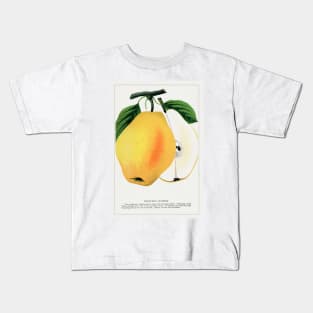 Kiefer's Hybrid Pear Lithograph (1900) Kids T-Shirt